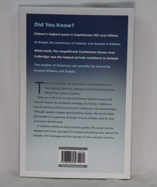 The Little Book of Kildare. - Image 3