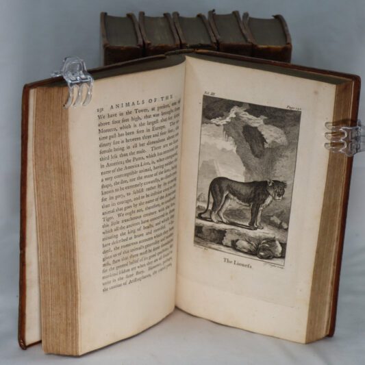 Goldsmith's History of the Earth and Animated Nature. Eight Volumes. - Image 5