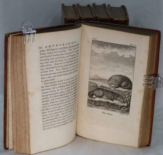 Goldsmith's History of the Earth and Animated Nature. Eight Volumes. - Image 4