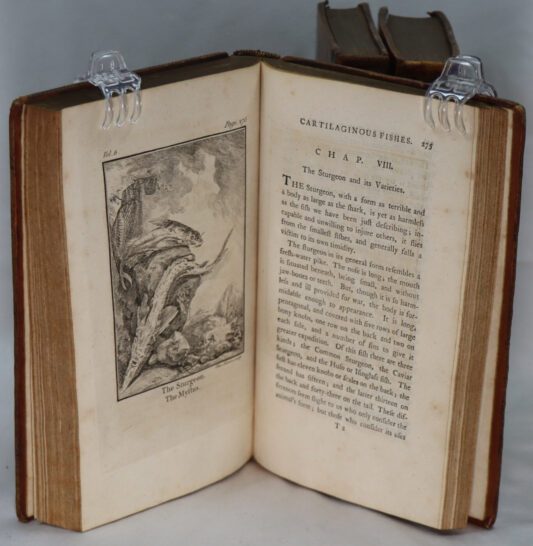 Goldsmith's History of the Earth and Animated Nature. Eight Volumes. - Image 11