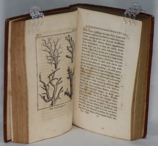 Goldsmith's History of the Earth and Animated Nature. Eight Volumes. - Image 13