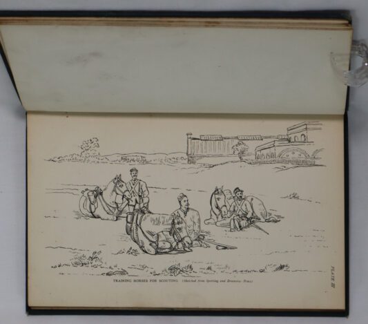 Phillipson on Harness. - Image 5