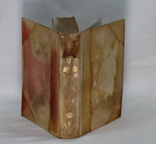 Mansfield Park. - Image 2