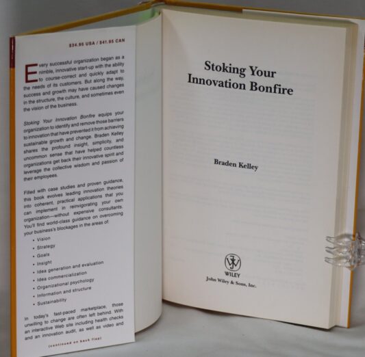 Stoking Your Innovation Bonfire. - Image 3