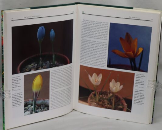 The National Plant Collection. - Image 5