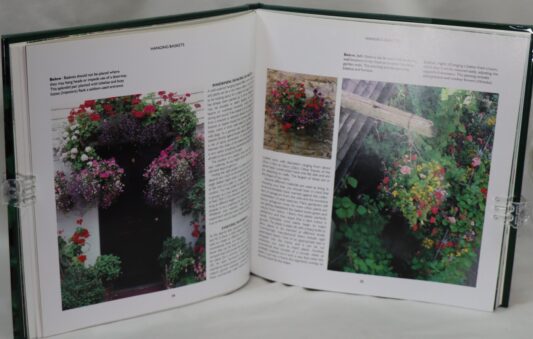 Hanging Baskets, Window Boxes & Containers. - Image 5