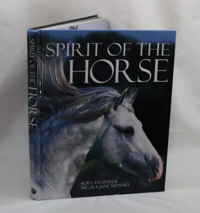 Spirit of the Horse.