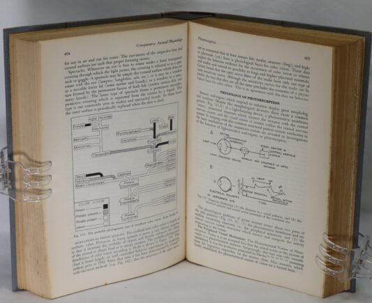 Comparative Animal Physiology. - Image 5