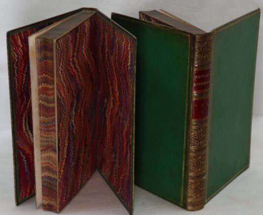 Pictures of Nuremberg In Two volumes. - Image 3