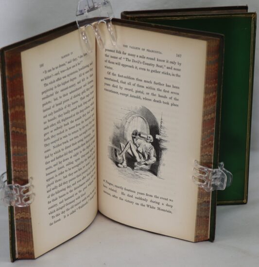 Pictures of Nuremberg In Two volumes. - Image 8