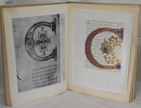 The Decorated Letter. - Image 8