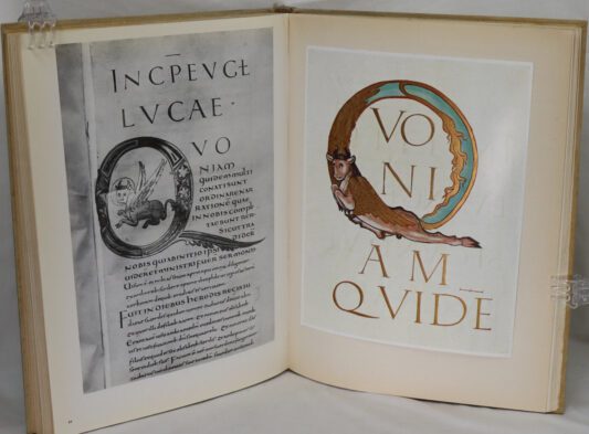 The Decorated Letter. - Image 11