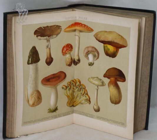 Brockhaus' Konuerlations = Lerikon. - Image 5