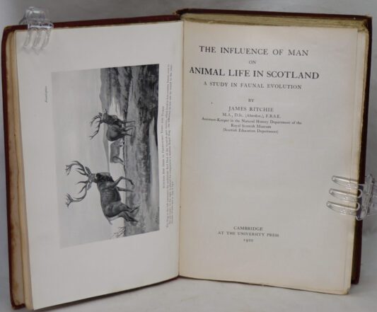 Animal Life in Scotland.