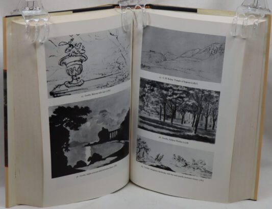 Goethe. The Poet and the Age. - Image 5
