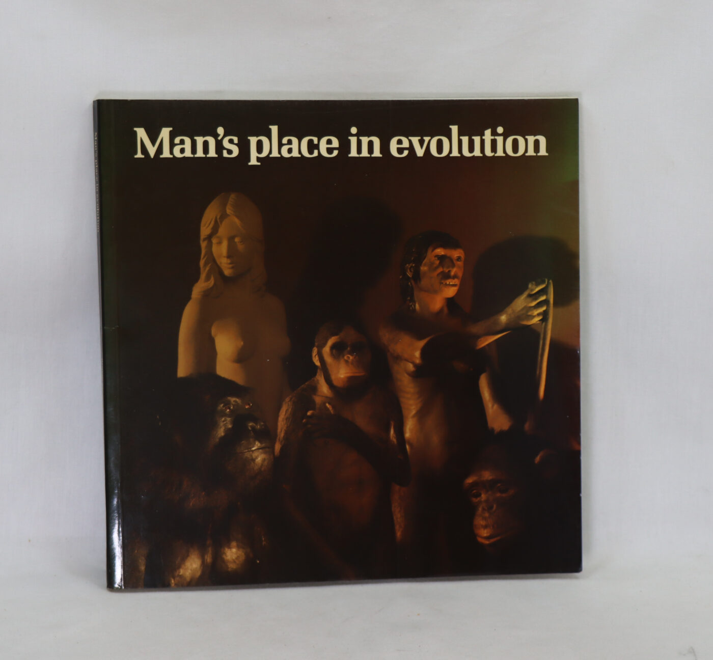 Photo of Man’s Place in Evolution.
