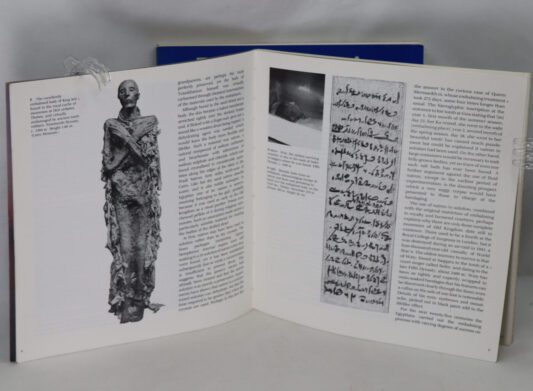 Egyptian Painting & Eygptian Mummies. - Image 2