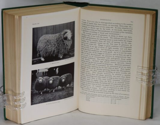 Agriculture. The Science and Practice of British Farming. - Image 5