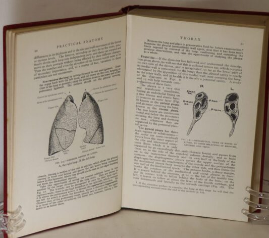 Manual of Practical Anatomy. Vol. II. - Image 3