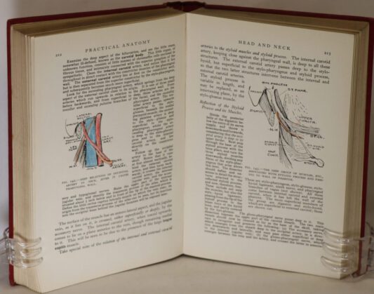 Manual of Practical Anatomy. Vol. II. - Image 2