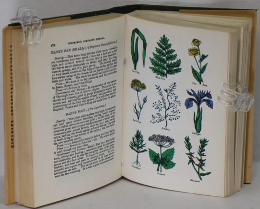 Culpeper's Complete Herbal. - Image 2