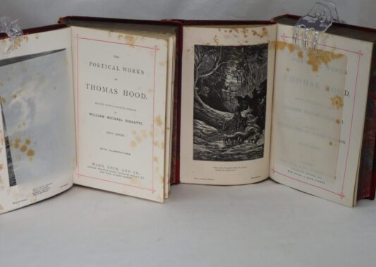 The Poetical Works of Thomas Hood. First & Second Series. - Image 4