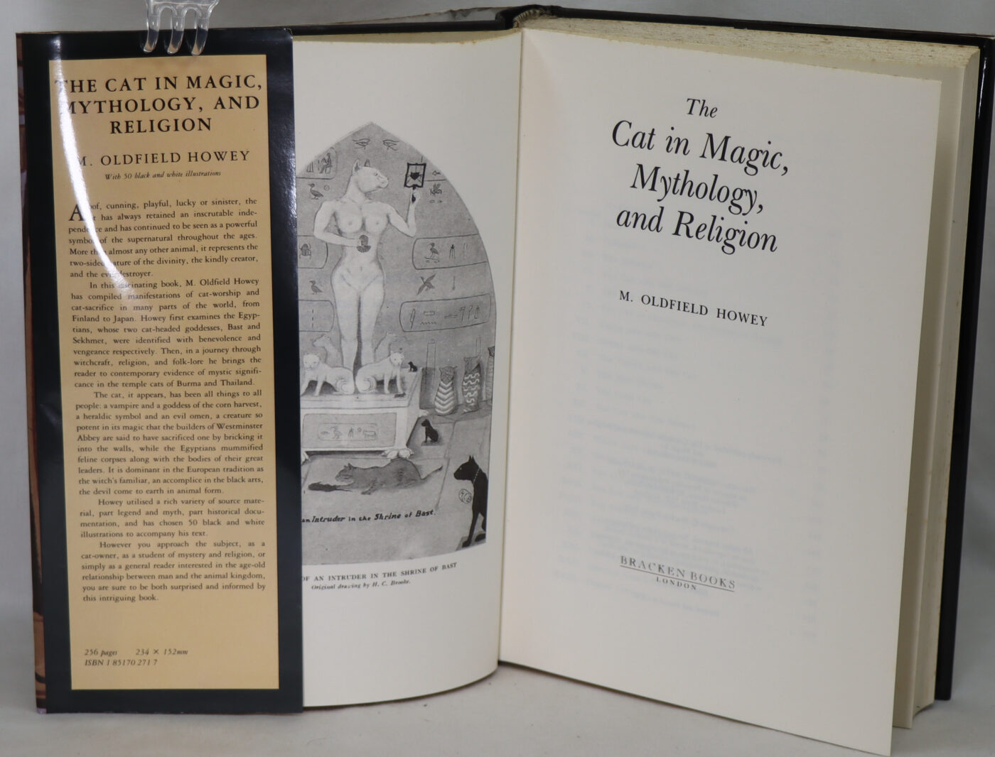 The Cat in Magic, Mythology, and Religion. - Image 3
