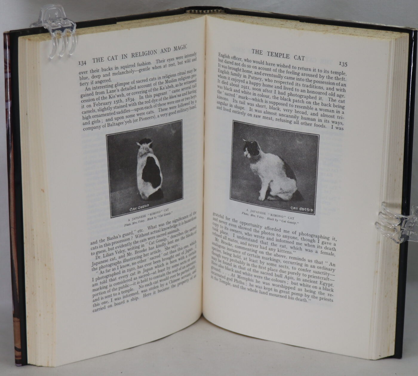 The Cat in Magic, Mythology, and Religion. - Image 6
