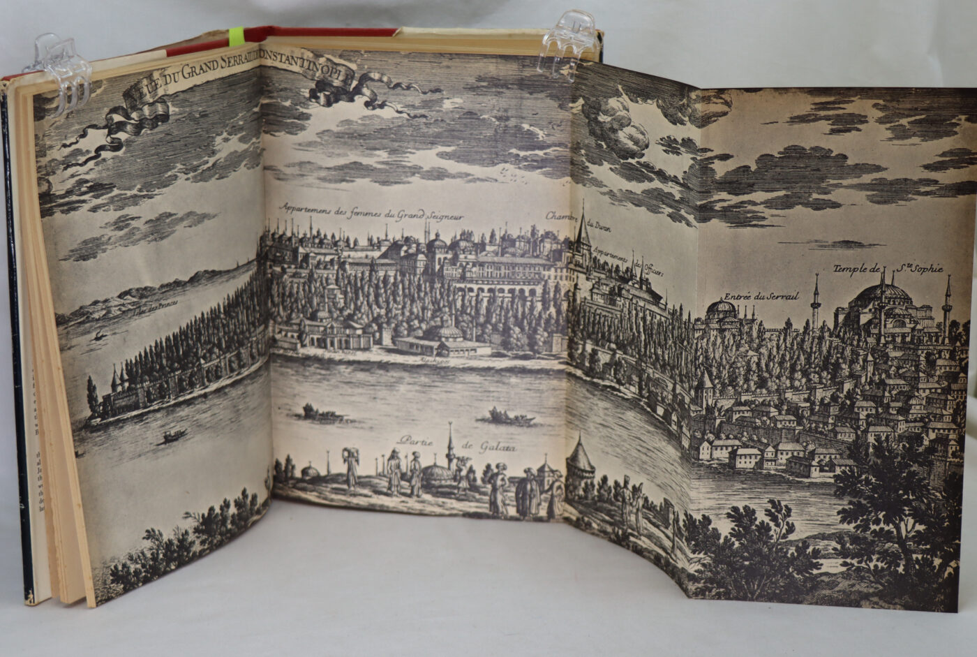 The Harem. - Image 2