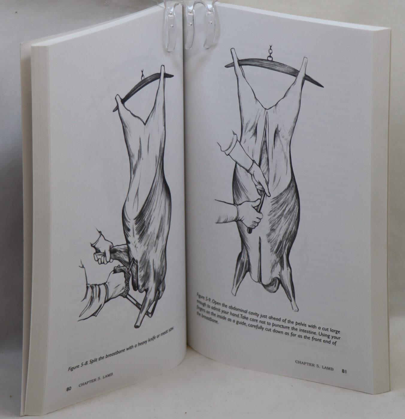 Basic Butchery for Livestock & Game. - Image 3