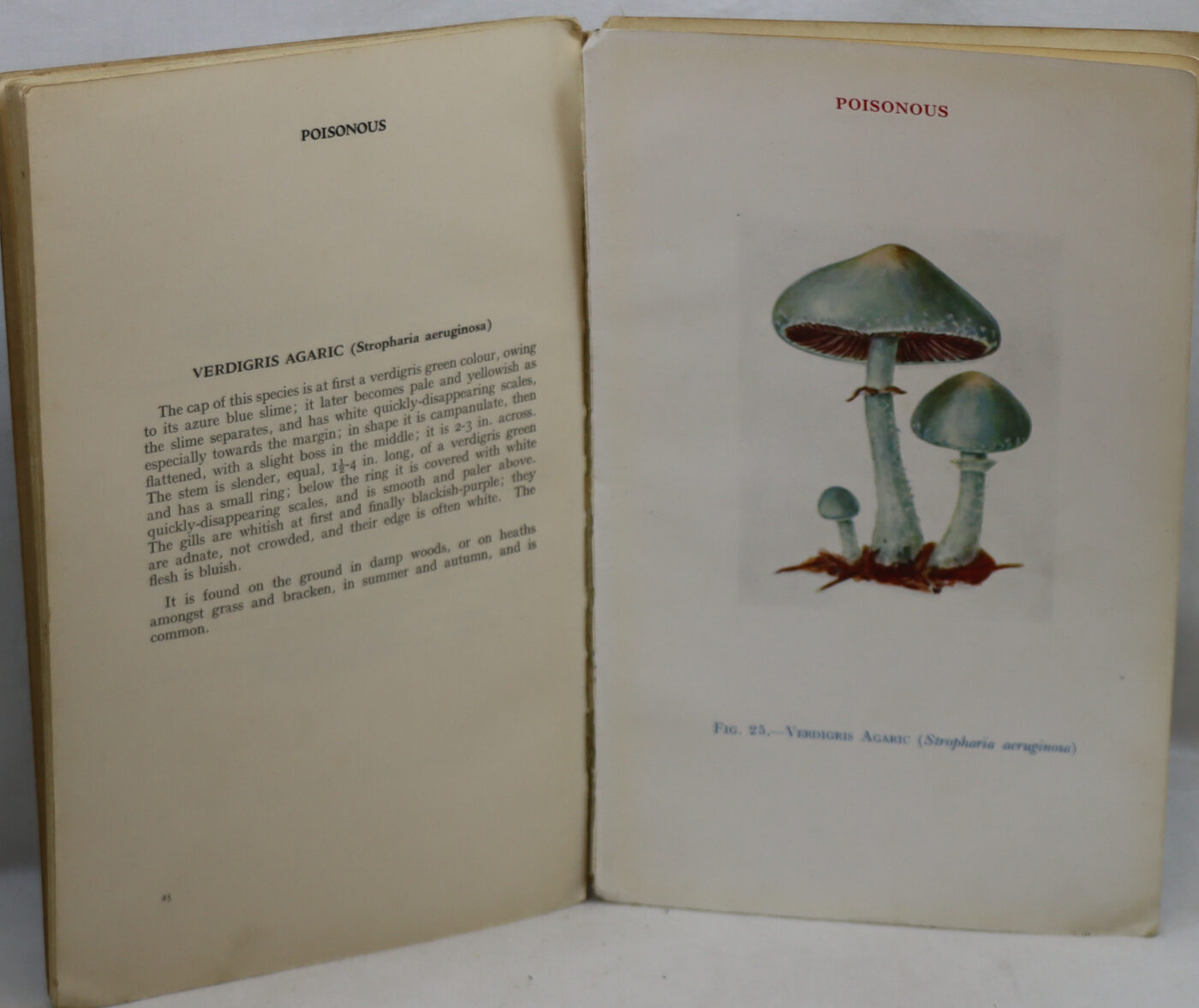 Edible and Poisonous Fungi. 1940. - Image 7
