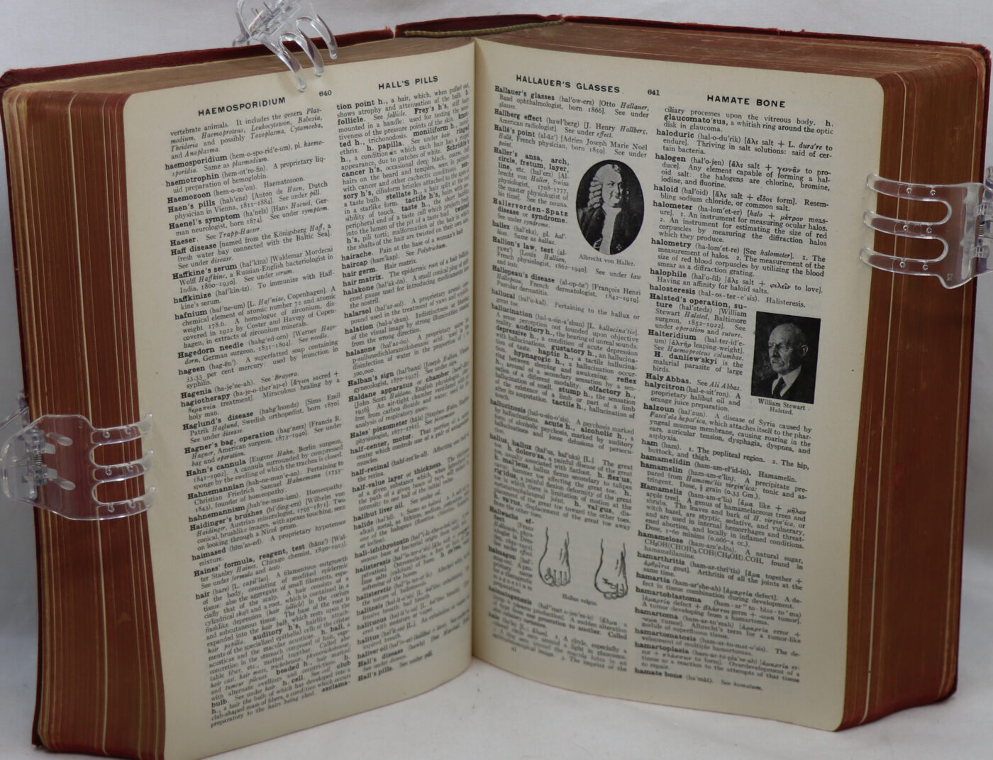 The American Illustrated Medical Dictionary. 20th Edition. - Image 3