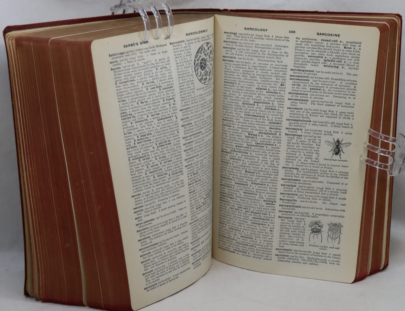 The American Illustrated Medical Dictionary. 20th Edition. - Image 6