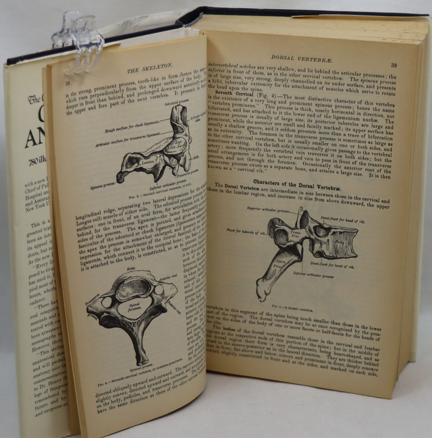 Gray's Anatomy. - Image 6