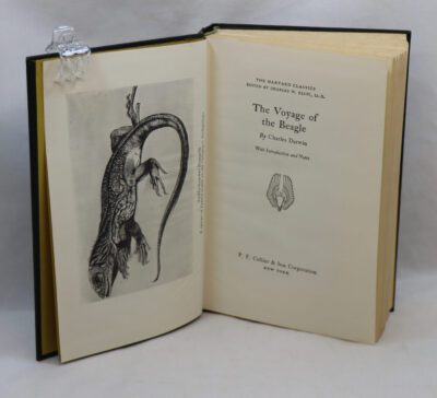 Voyage on the Beagle.