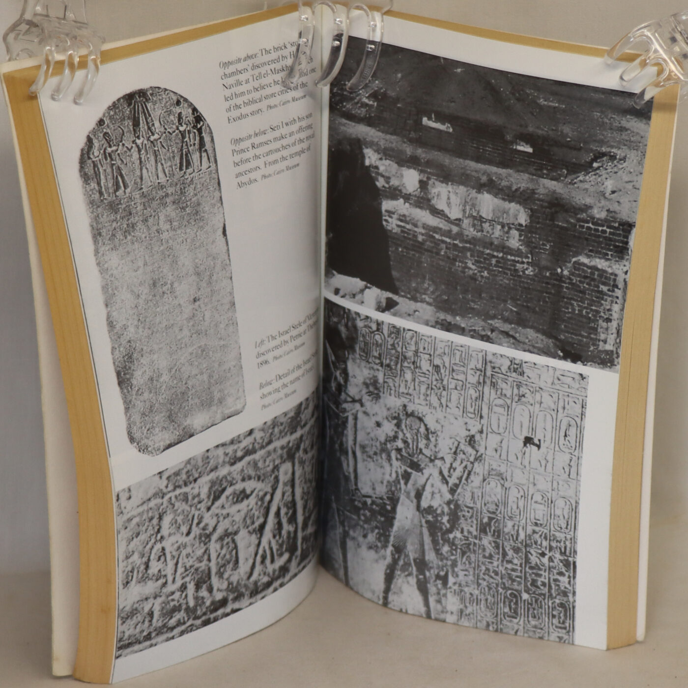 Stranger in the Valley of the Kings. - Image 3