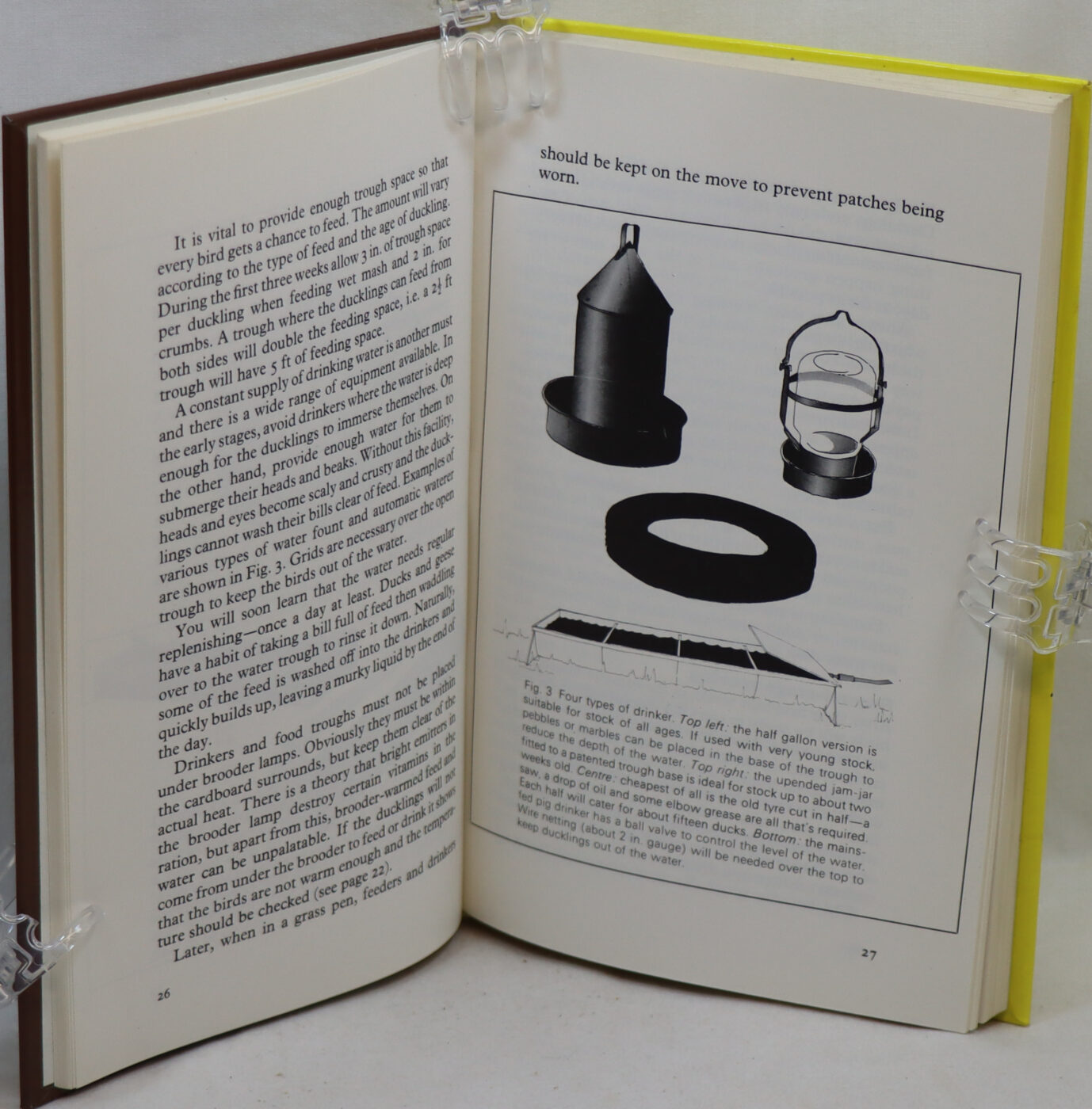 Keeping Ducks, Geese, and Turkeys. - Image 3