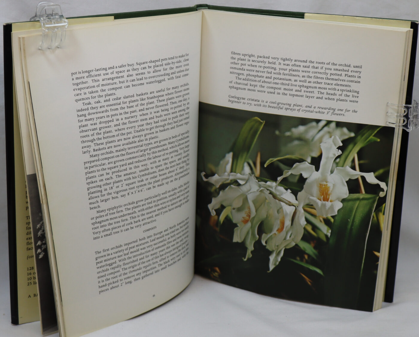 The Art and Craft of Growing Orchids. - Image 4