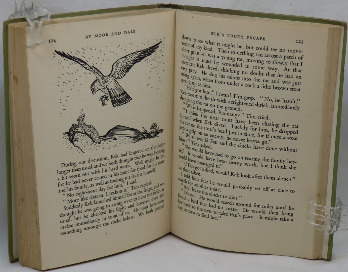 Out with the Romany by Moor and Dale. - Image 3
