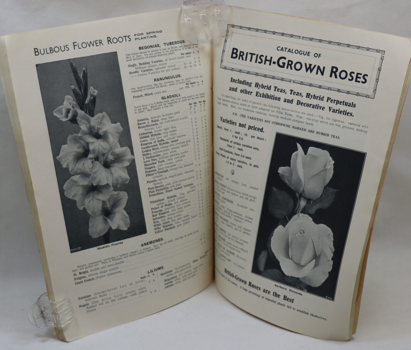 Growing for a Century. 1839-1939. - Image 3