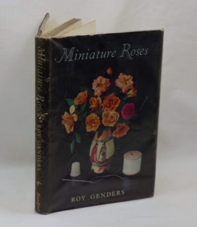 Miniature Roses.