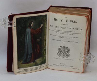 Holy Bible. Illustrated.