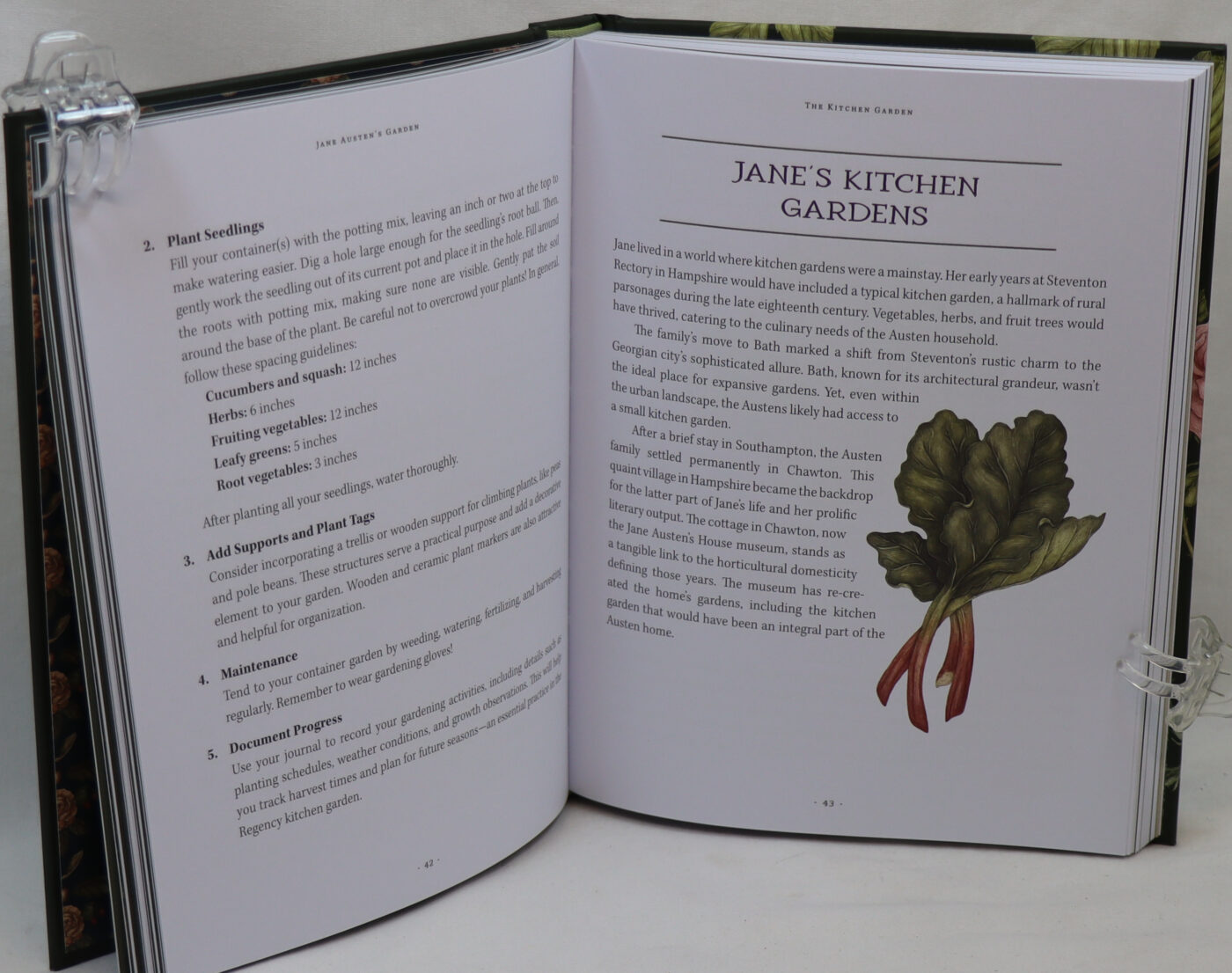 Jane Austen's Garden. - Image 2