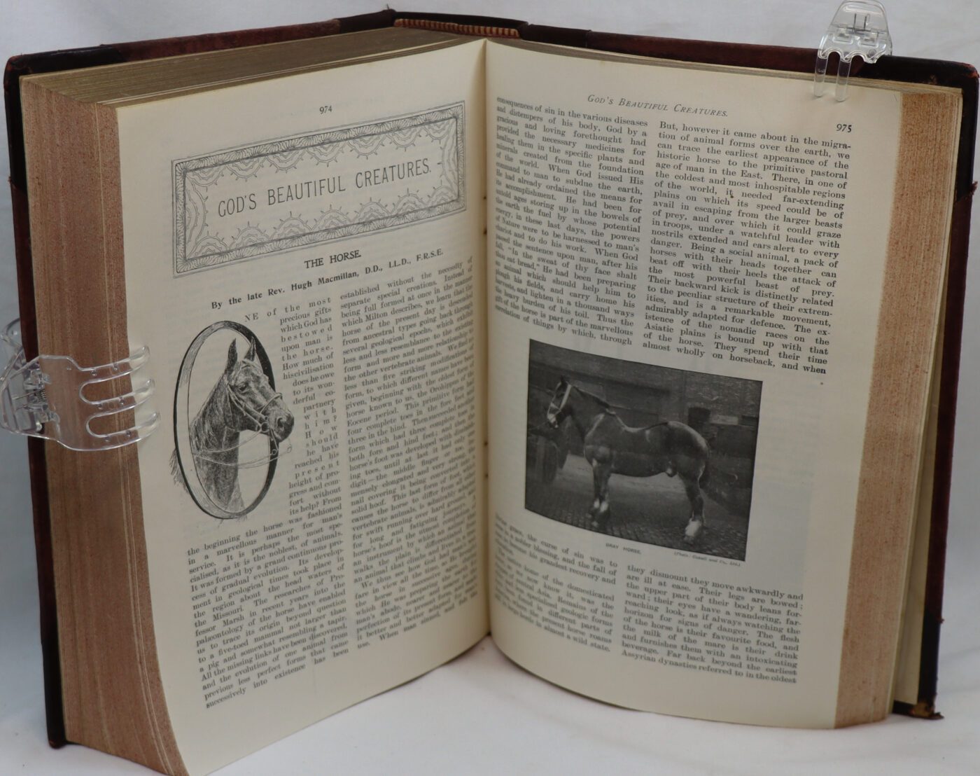 The Quiver Annual Volume. 1903. - Image 6