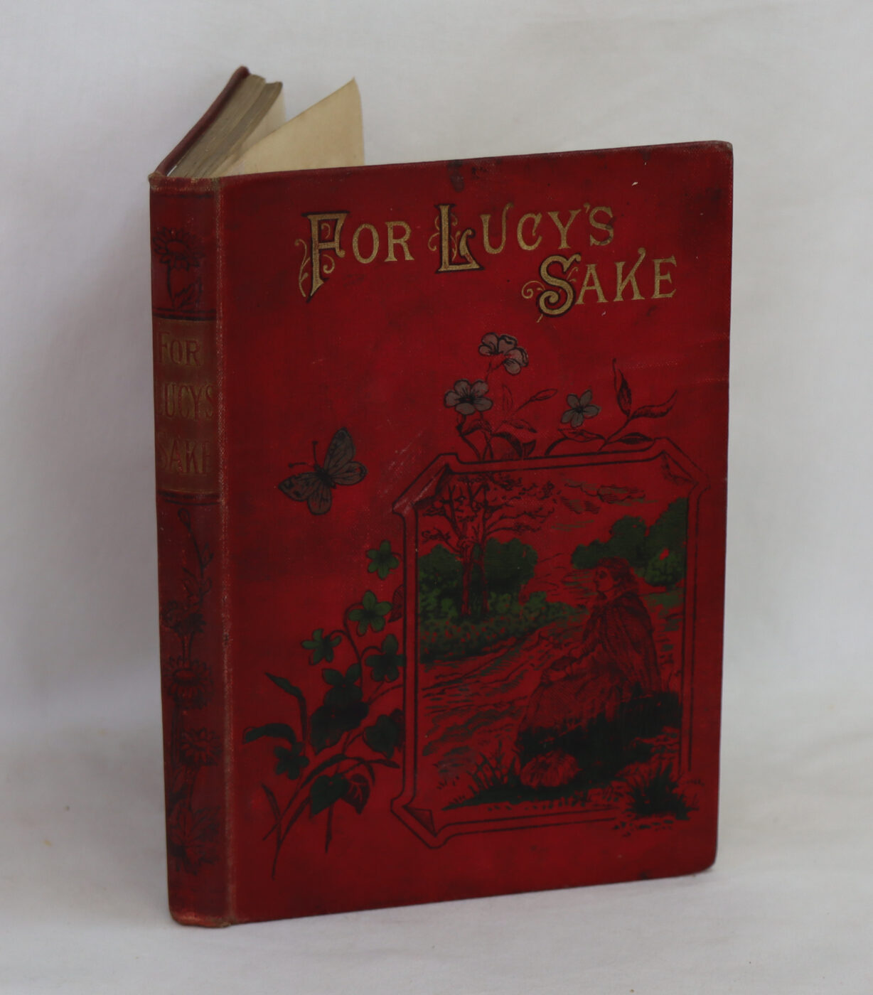 For Lucy's Sake. - Image 2