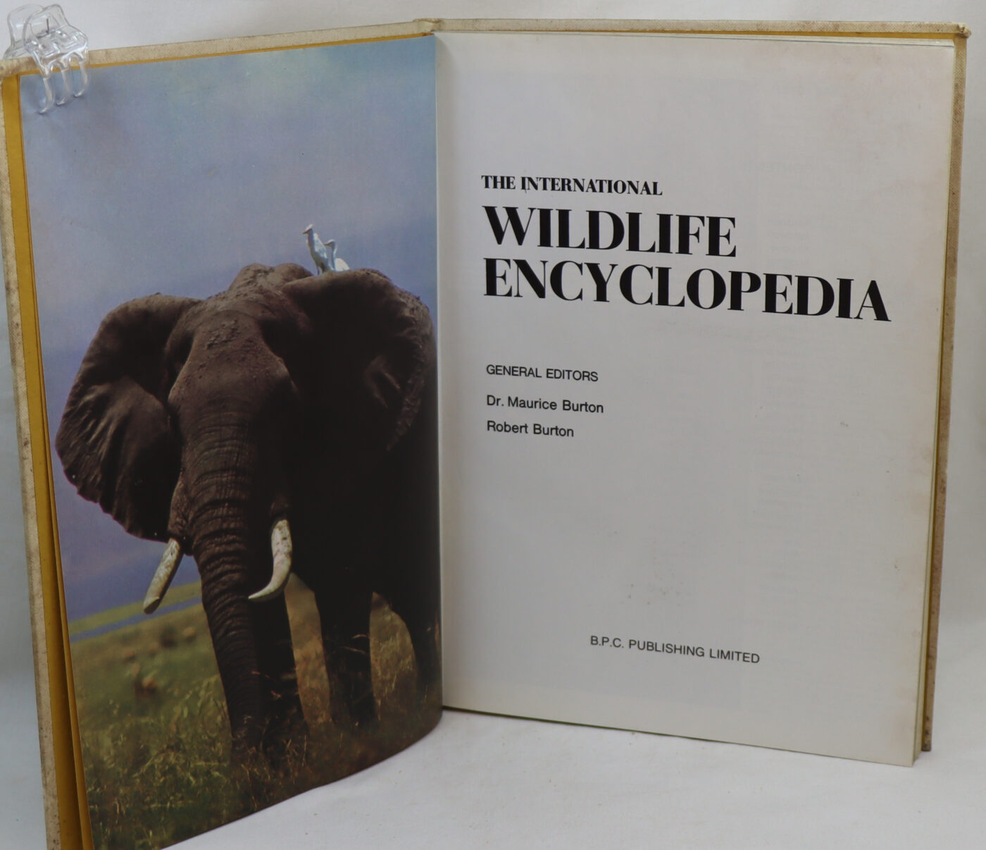 The International Wildlife Encyclopedia. Vol 1. - Image 2
