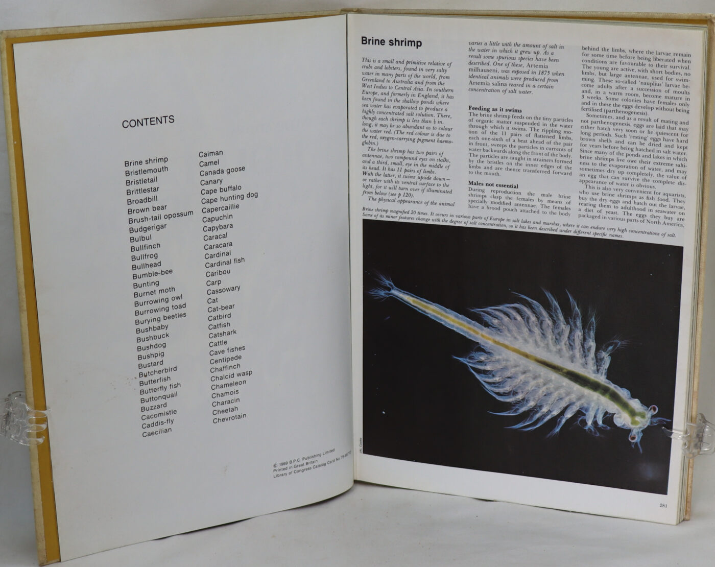 The International Wildlife Encyclopedia. Vol.2. - Image 2