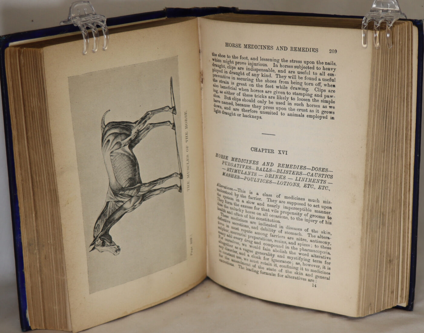 The Stable Manual and Horse Doctor. - Image 2